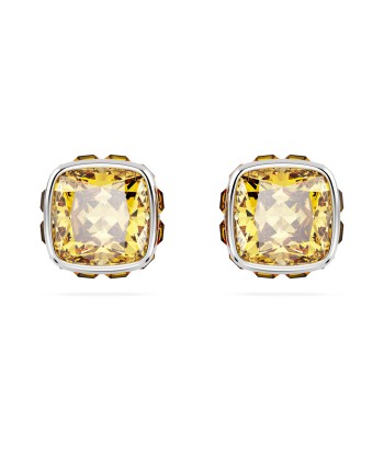 Swarovski November Birthstone Earrings de France