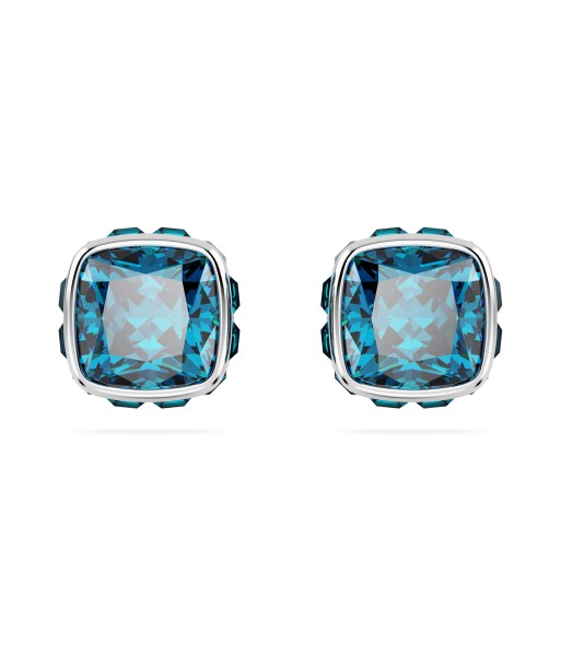 Swarovski December Birthstone Earrings Vous souhaitez 