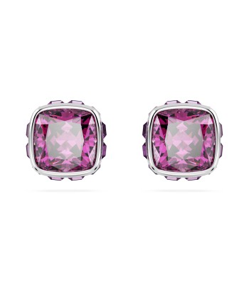 Swarovski February Birthstone Earrings la colonne vertébrale