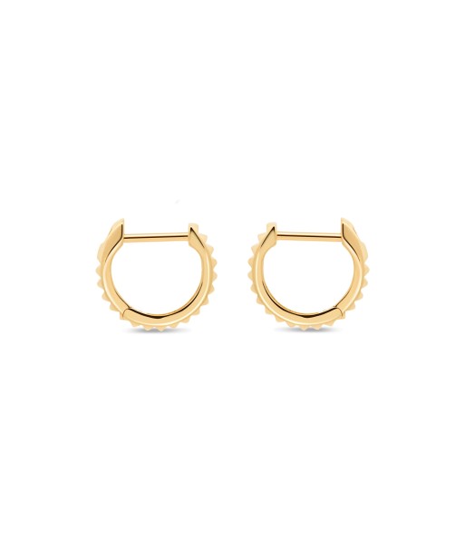 10KT Yellow Gold Hoop Earrings à prix réduit toute l'année