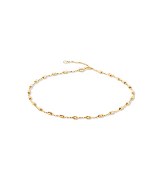 Yellow Gold Fancy Anklet la chaussure