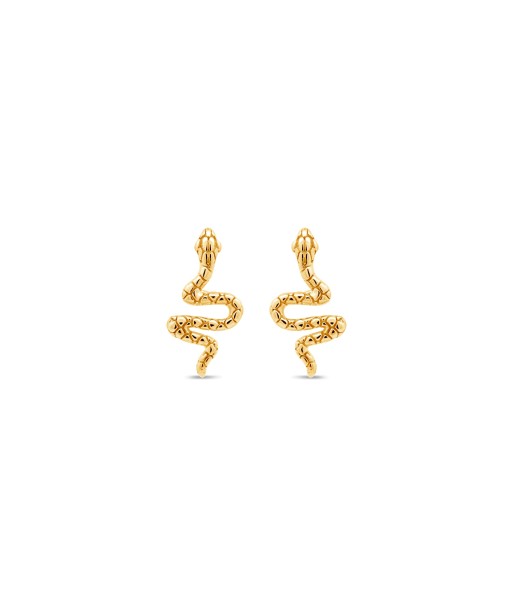 10KT Yellow Gold Snake Earrings Comparez et commandez 