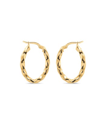 Yellow Gold Twist Hoop Earrings s'inspire de l'anatomie humaine