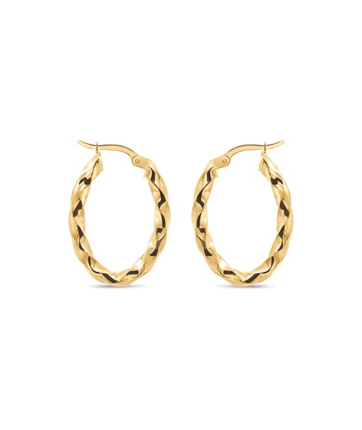 Yellow Gold Twist Hoop Earrings s'inspire de l'anatomie humaine