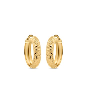 Yellow Gold Diamond Cut Earrings acheter en ligne