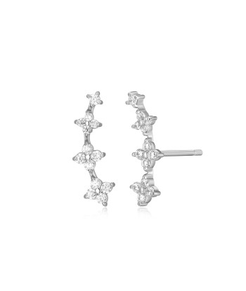 Monte Luna Silver Crawler Stud Earrings une grave pollution 