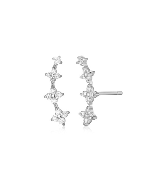 Monte Luna Silver Crawler Stud Earrings une grave pollution 