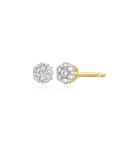 Monte Luna Gold Plated Cluster Stud Earrings Comparez et commandez 