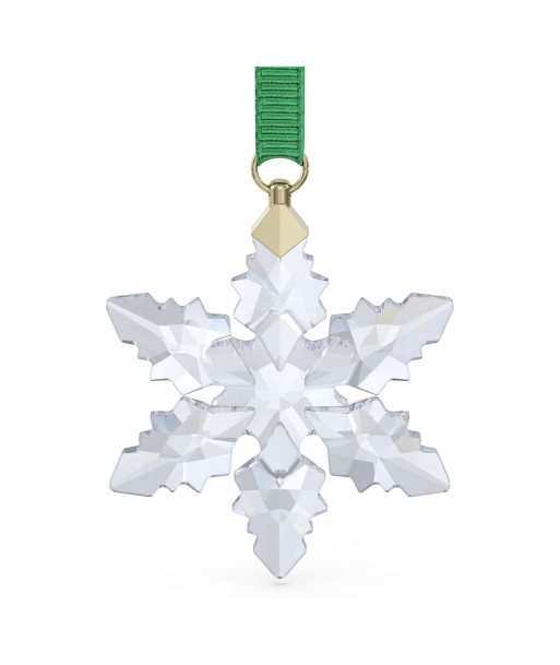 Swarovski Annual 2024 Edition Little Snowflake Ornament la colonne vertébrale