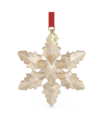 Swarovski Annual 2024 Edition 3D Snowflake Ornament : Small Amélioration de cerveau avec