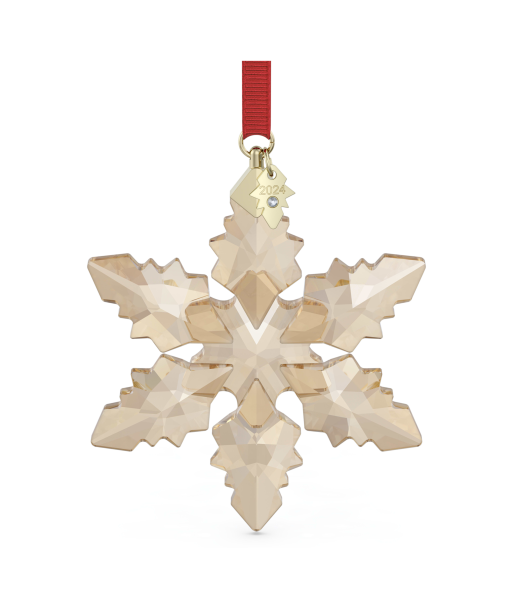 Swarovski Annual 2024 Edition 3D Snowflake Ornament : Small Amélioration de cerveau avec