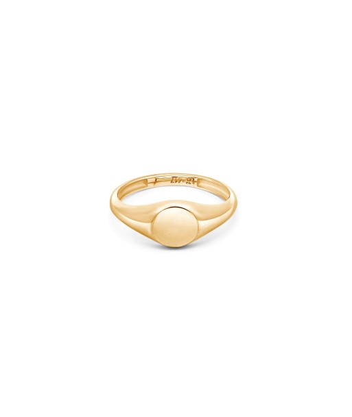 Yellow Gold Small Round Signet Ring en ligne des produits 