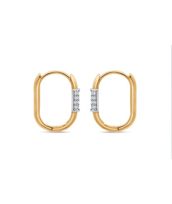 10kt Yellow Gold CZ Hoop Earrings 2023