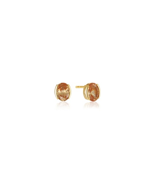 Earrings Ellisse Carezza destockage