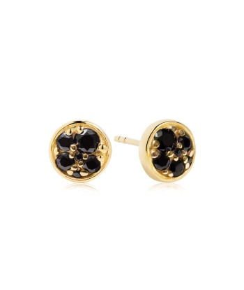 Earrings Novara Piccolo with black zirconia s'inspire de l'anatomie humaine