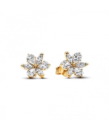 FINAL SALE - Pandora Gold Plated CZ Herbarium Cluster Stud Earrings ouvre sa boutique