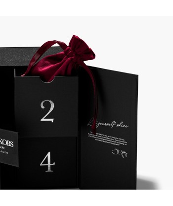 Advent Calendar Silver Elegance Comparez plus de prix