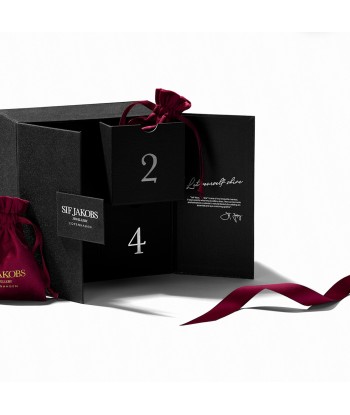 Advent Calendar Silver Elegance Comparez plus de prix