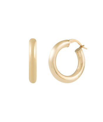 Emotion Hoops - 10 Karat Gold l'achat 