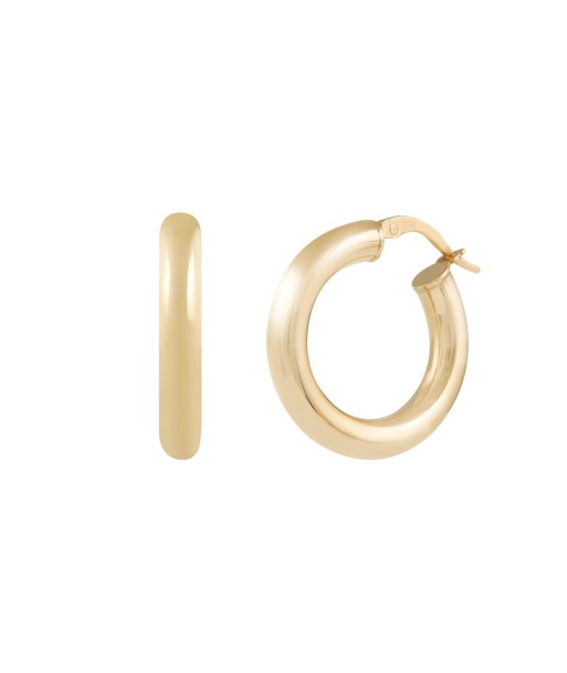 Emotion Hoops - 10 Karat Gold l'achat 