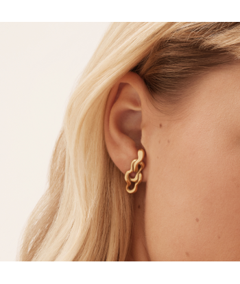 Brooklyn Earrings - Gold Véritable concentré