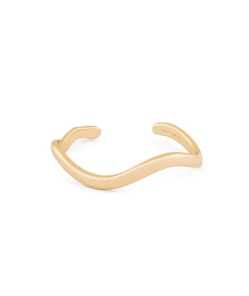 Curves Bracelet - Gold offre 