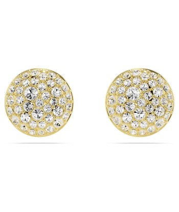 Swarovski Meteora Stud Earrings Comparez et commandez 