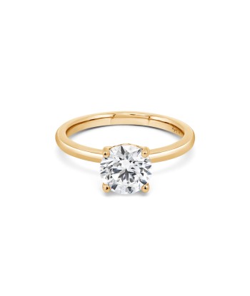 1.50CT Lab Grown Round Brilliant Cut Hidden Halo Engagement Ring: Yellow Gold Vous souhaitez 