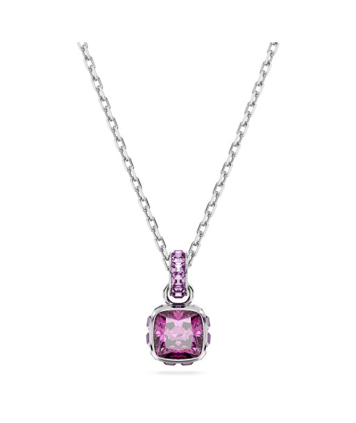 Swarovski February Birthstone Necklace 50% de réduction en Octobre 2024